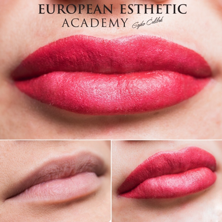 Imagen de LIPS COMBO ONLINE COURSE