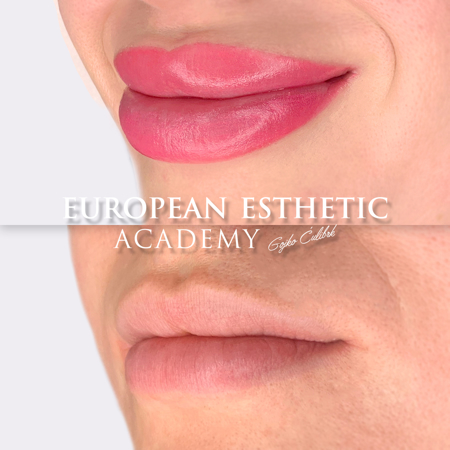 Immagine di LIPS COMBO ONLINE COURSE